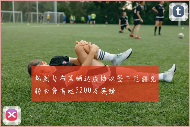 热刺与布莱顿达成协议签下范赫克转会费高达5200万英镑